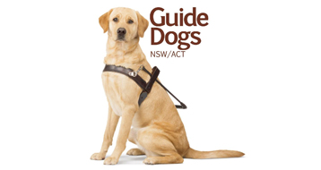 Guide Dogs